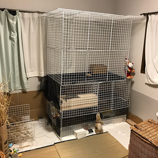 mori-6.12さんの実例写真