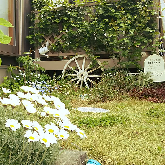 YU-KAさんの実例写真