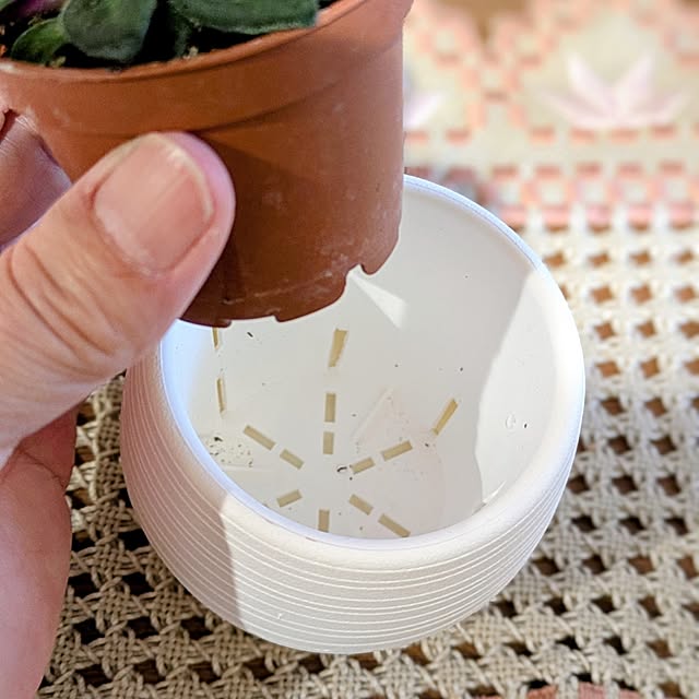 mi-saさんの部屋