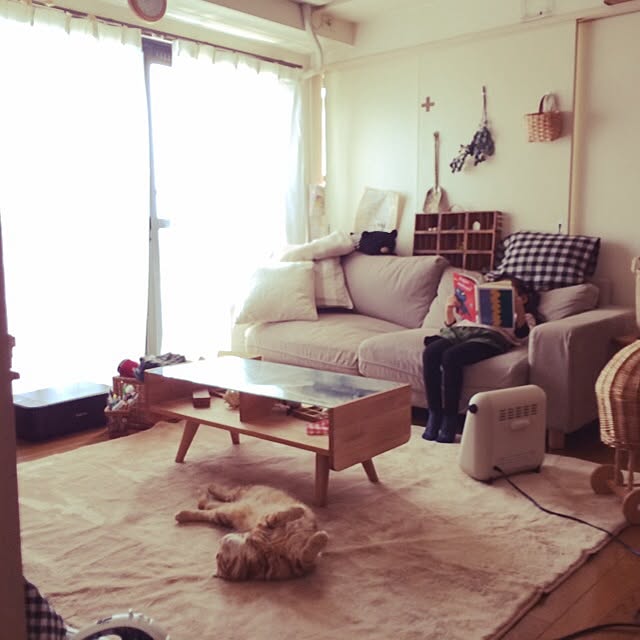 fu-toraさんの実例写真