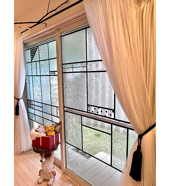 kittyさんの部屋