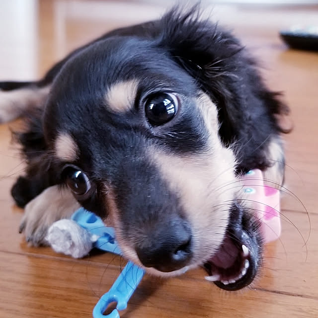 momozouさんの実例写真