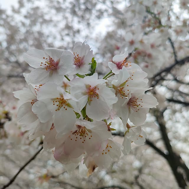 ya_maさんの部屋