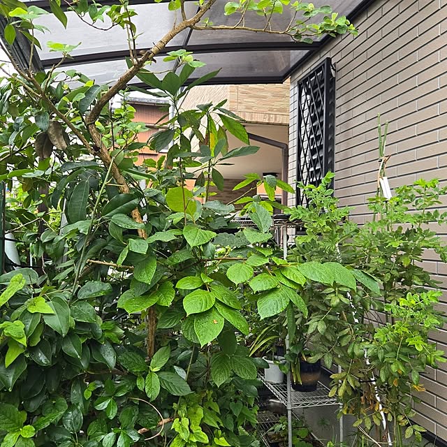 mitsuyama3136さんの部屋