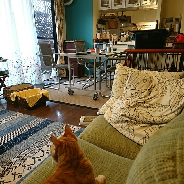 okyosan101さんの実例写真