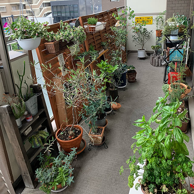 fuxi0413さんの実例写真
