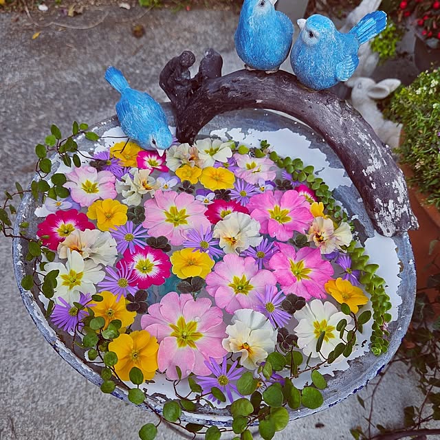 mocomocoさんの実例写真