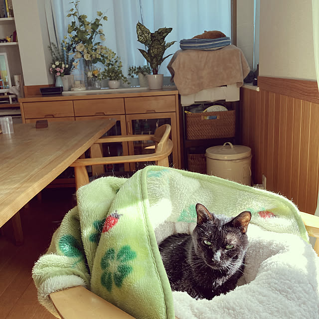 chakuron.iさんの実例写真