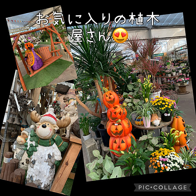 Aqettyさんの部屋