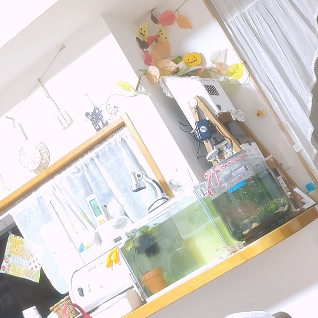 mariaさんの実例写真