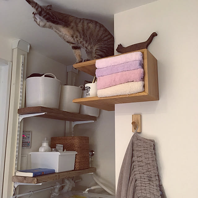 mikomaruさんの実例写真