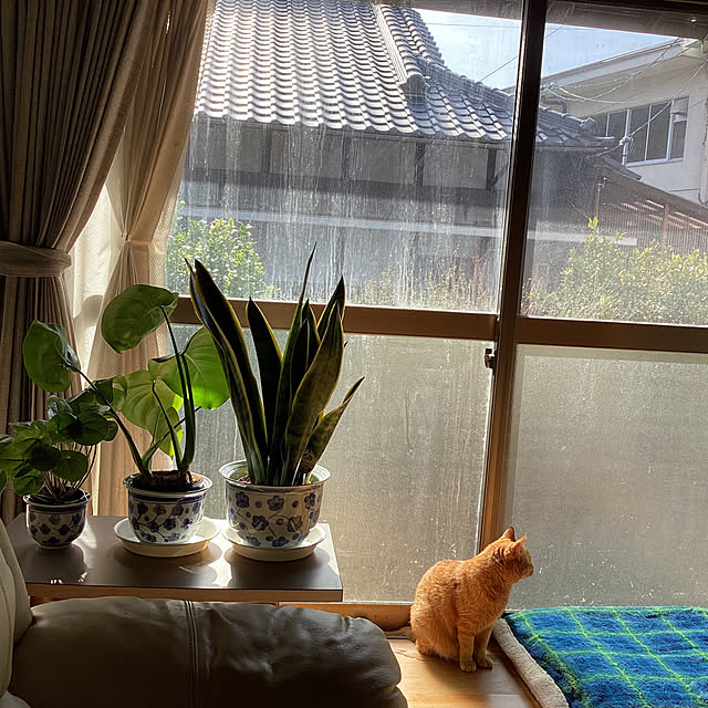 conatuさんの部屋