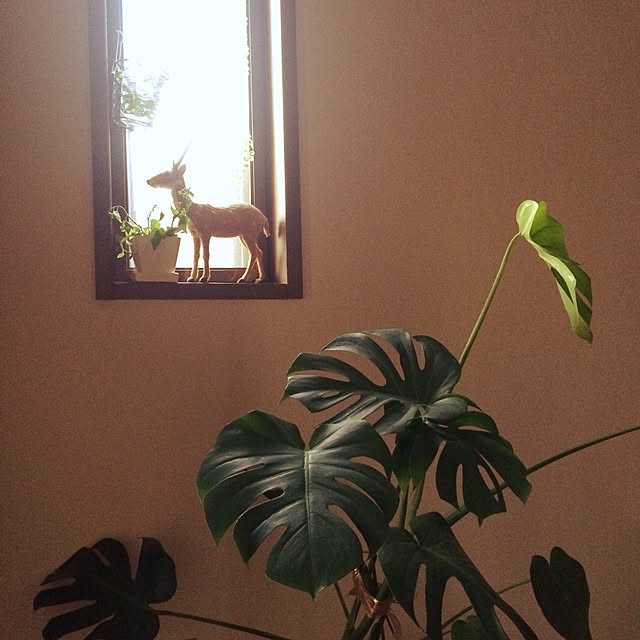 churaさんの実例写真