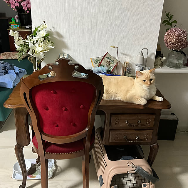 akari520さんの実例写真