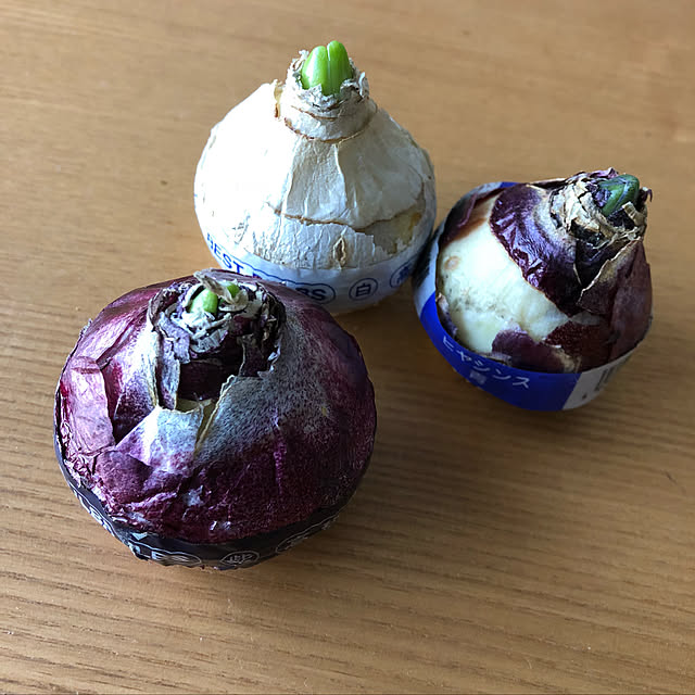 Chokoさんの実例写真