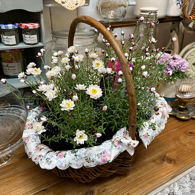 Atsukoさんの実例写真