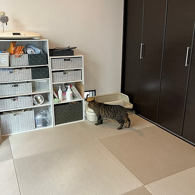 saeさんの部屋
