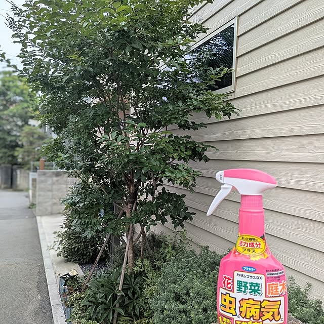 Maroさんの実例写真