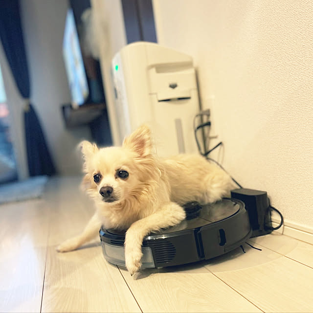 ya-coさんの実例写真