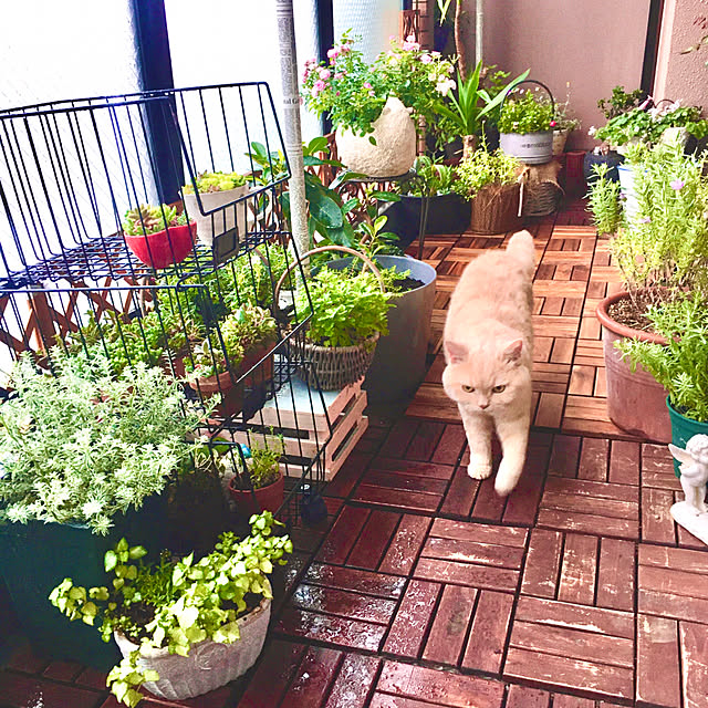 naokoさんの部屋