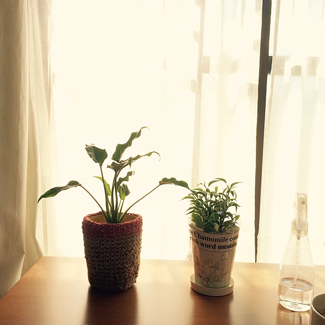 hirakoさんの実例写真