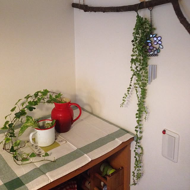 棚/雑貨/観葉植物/フェイクグリーン/食器のインテリア実例 - 2015-02-09 15:58:23