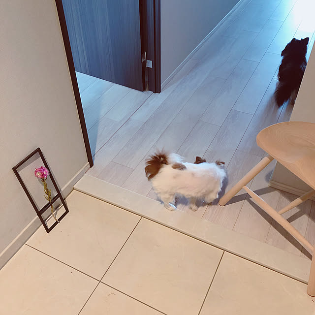 Niihoさんの実例写真