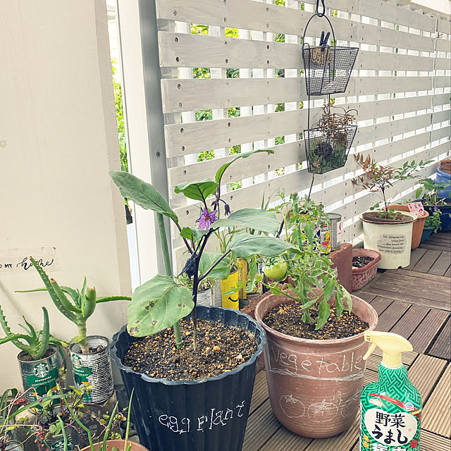 mamiさんの実例写真