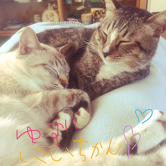 tsukiyuzuさんの実例写真