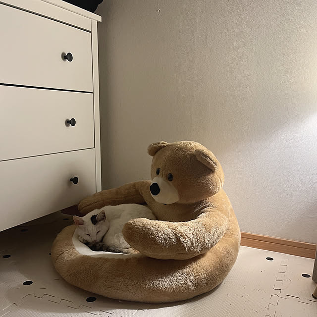a.iさんの実例写真