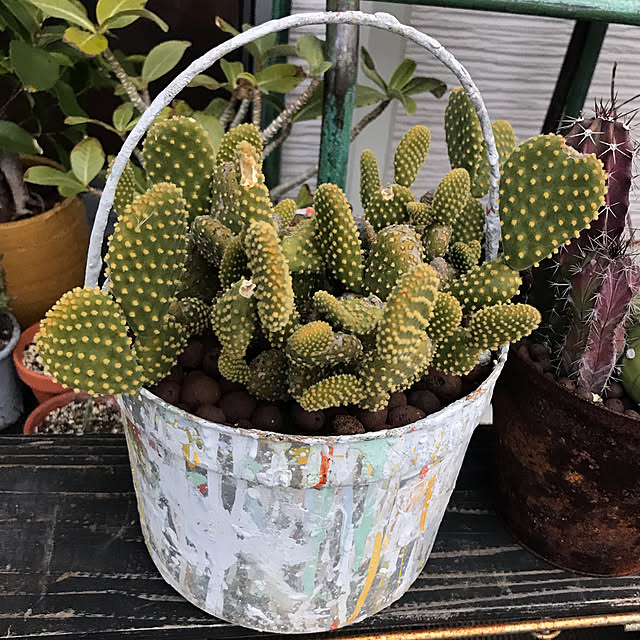 COLeCoさんの実例写真