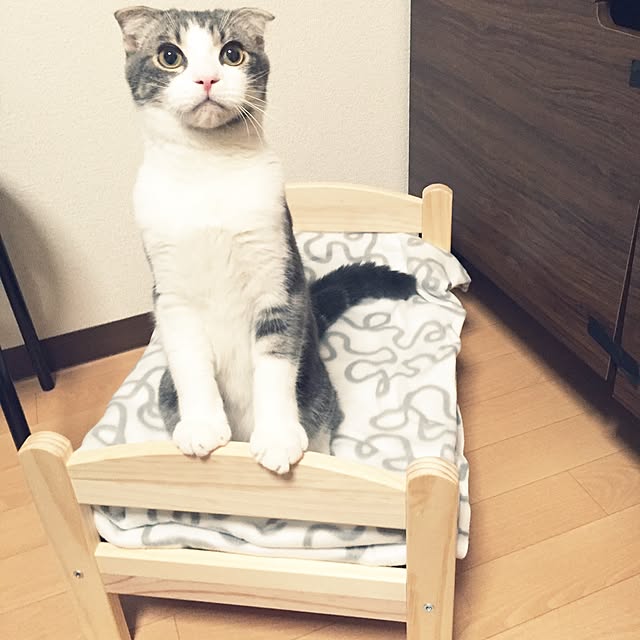 tansukeさんの実例写真