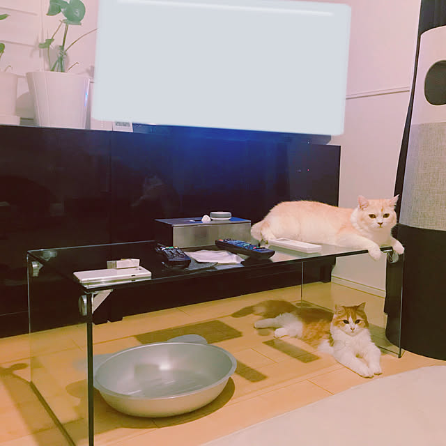 H.Tさんの実例写真
