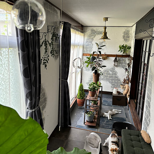 Mikazukiさんの部屋