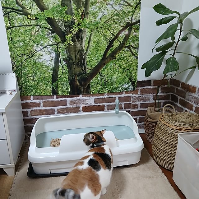 murasaki808さんの実例写真