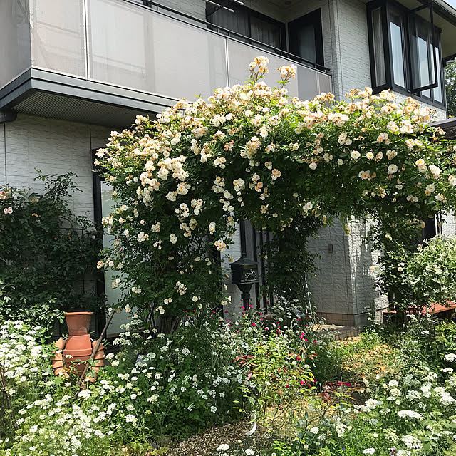 TAR0066さんの実例写真