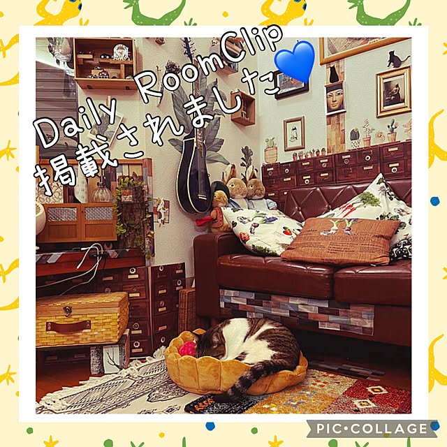 jijiさんの実例写真