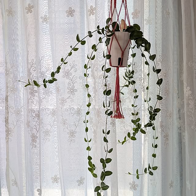 Maroさんの部屋