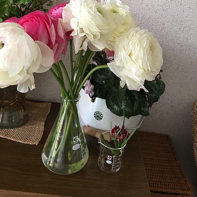 rokokoさんの実例写真