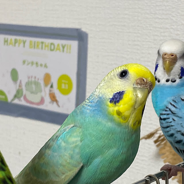 ohanaさんの部屋