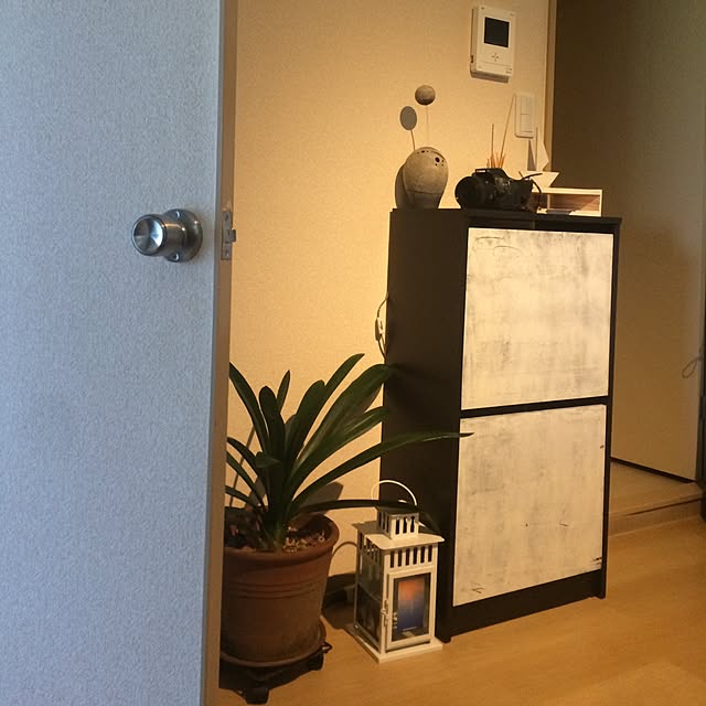 Masatoさんの実例写真