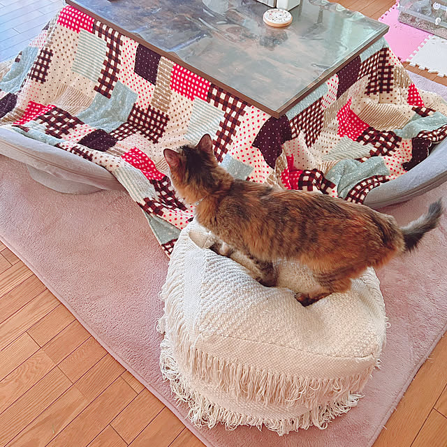 prelumoさんの実例写真