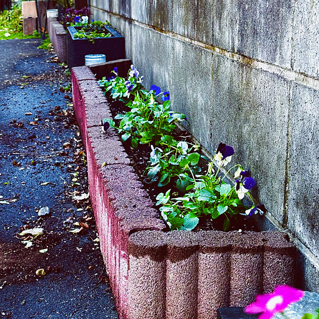 chacoさんの部屋