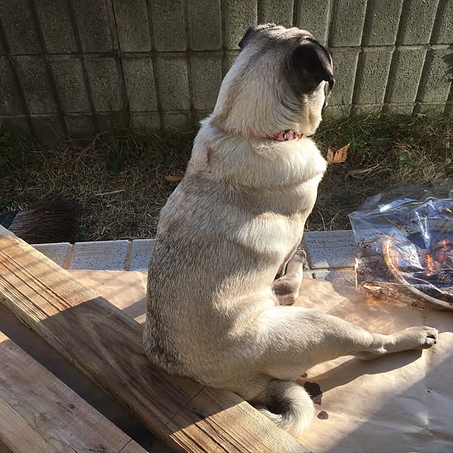 suzukoさんの実例写真