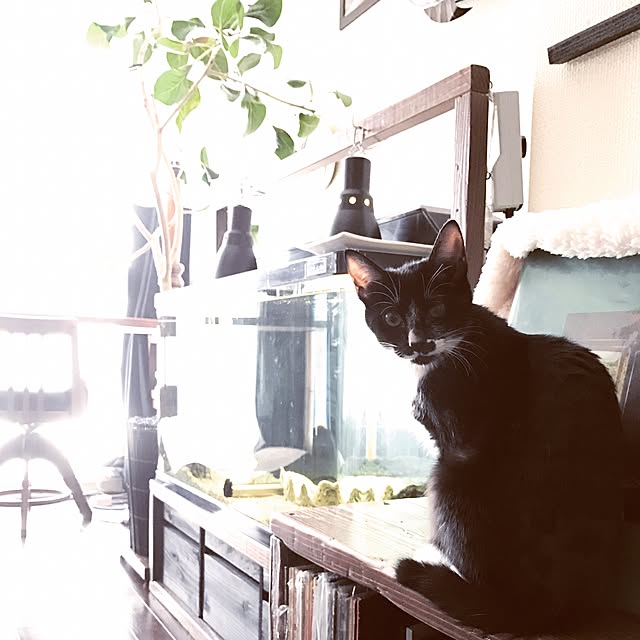 ____Mukさんの実例写真