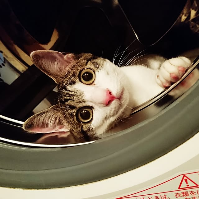 kiraさんの実例写真
