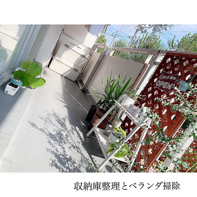chaluさんの実例写真