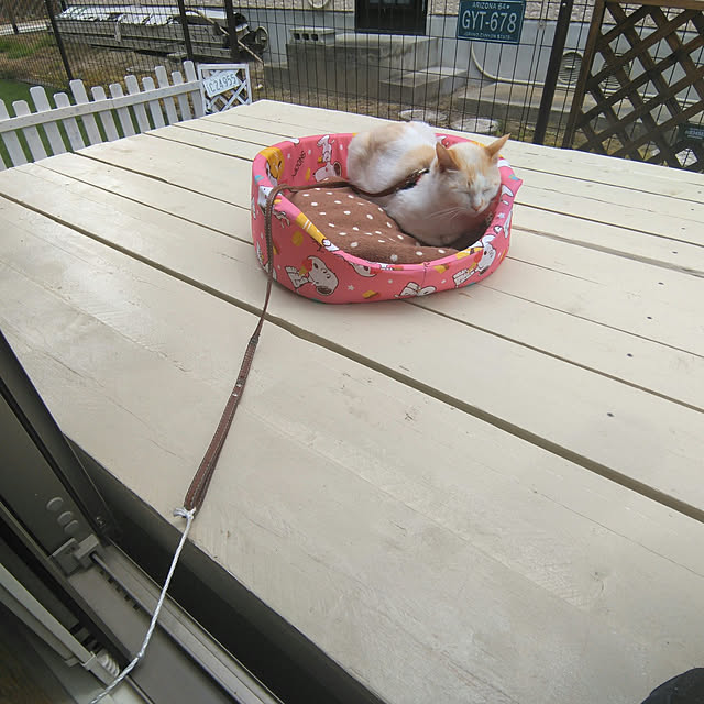 nrsim+kmymさんの実例写真