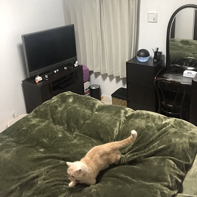 mutsuさんの実例写真