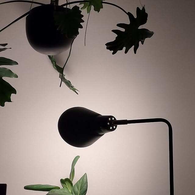 jamjamさんの部屋